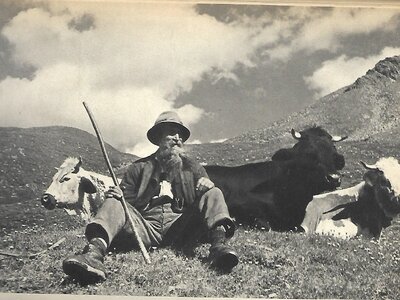 Alter Hirte auf der Alm | © Atzenberger, 1941 A man wearing a hat and coat seated in a mountainous landscape, surrounded by cattle and sheep. | © Atzenberger, 1941