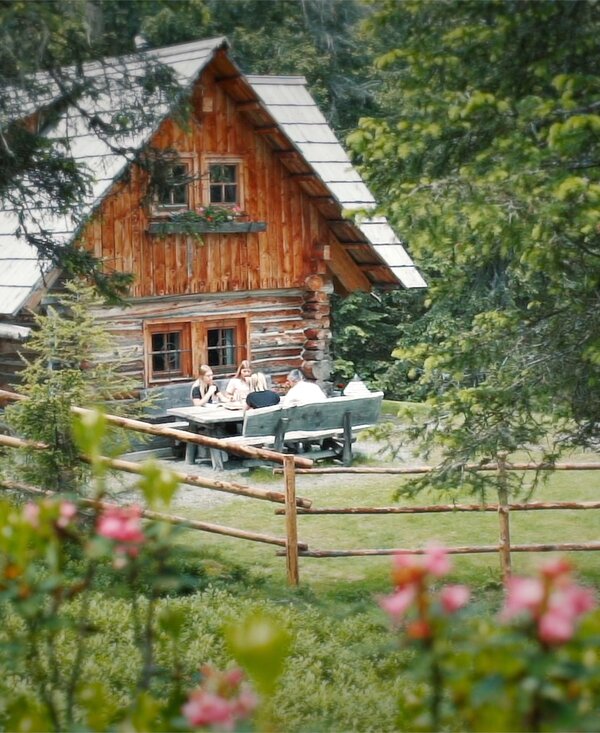 Rustic wooden cabin nestled in lush greenery, with a charming porch and surrounded by blooming flowers.