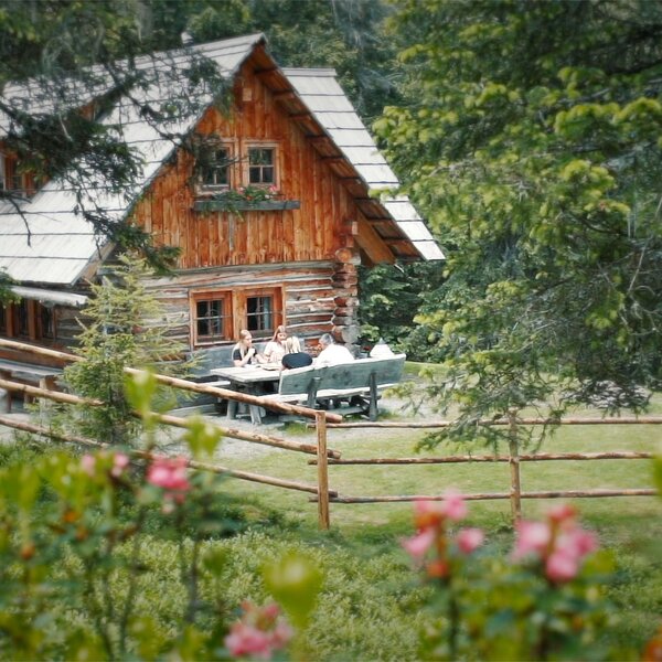 Rustic wooden cabin nestled in lush greenery, with a charming porch and surrounded by blooming flowers.