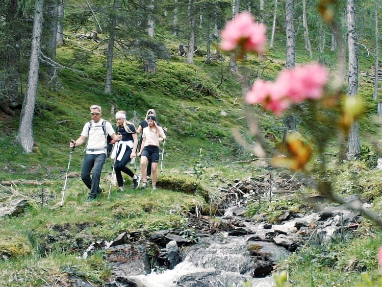Three hikers walking on a trail through a lush, mossy forest with a stream and pink flowering plants in the foreground.