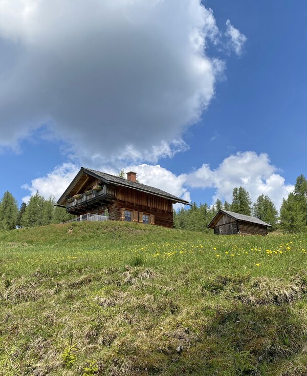 Rustic wooden cabins on a hill surrounded by lush green meadows and pine trees under a cloudy sky. | © Urlaub am Bauernhof Kärnten / Jasmin Kreulitsch