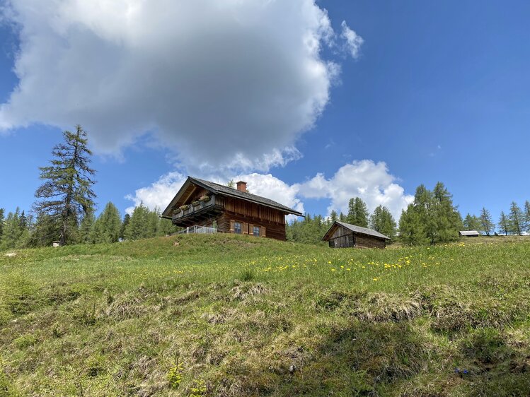 Rustic wooden cabins on a hill surrounded by lush green meadows and pine trees under a cloudy sky. | © Urlaub am Bauernhof Kärnten / Jasmin Kreulitsch