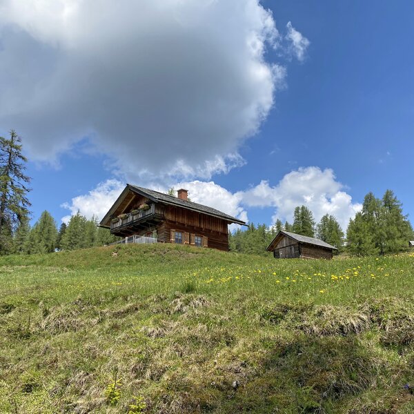 Rustic wooden cabins on a hill surrounded by lush green meadows and pine trees under a cloudy sky. | © Urlaub am Bauernhof Kärnten / Jasmin Kreulitsch