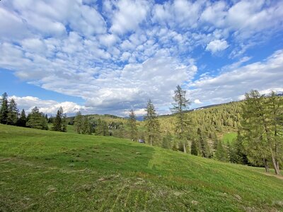 Lush green meadows, towering evergreen trees, and a vast blue sky dotted with fluffy white clouds, creating a serene and picturesque landscape. | © Urlaub am Bauernhof Kärnten / Jasmin Kreulitsch