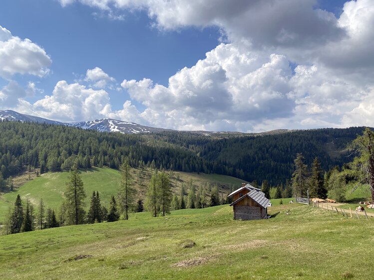 Scenic alpine meadow with wooden hut, green grassy hills, snow-capped mountains, and billowing clouds in vibrant blue sky. | © Urlaub am Bauernhof Kärnten / Jasmin Kreulitsch