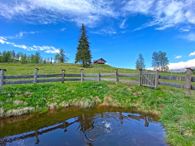 Rustic wooden fence, lush green field, pine tree, small pond, picturesque wooden cabin, blue sky with fluffy clouds. | © Urlaub am Bauernhof Kärnten / Jasmin Kreulitsch