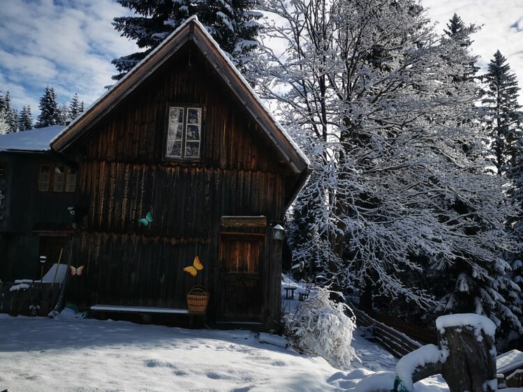 Quaint wooden cabin nestled in snow-covered forest, surrounded by evergreen trees under a cloudy winter sky. | © Urlaub am Bauernhof / Schell