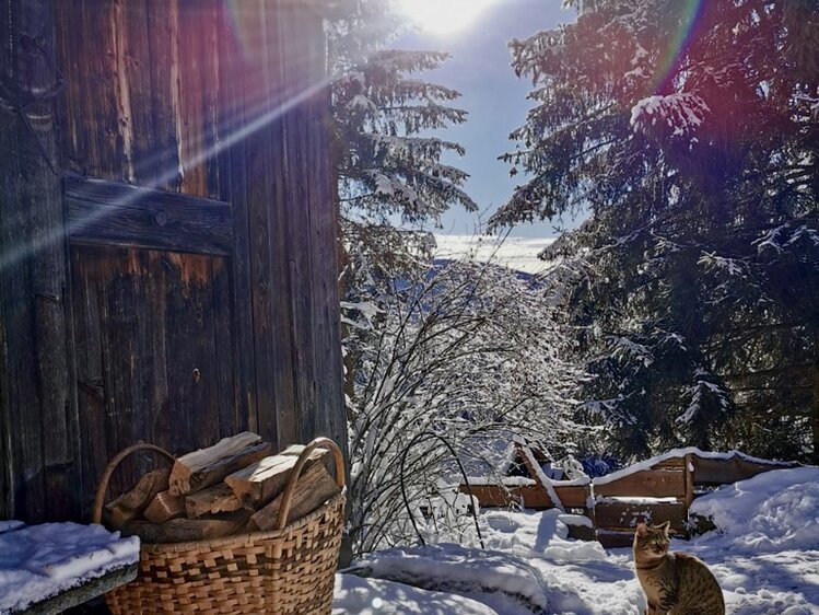 Rustic wooden cabin amidst snowy landscape, firewood basket, and a cat in the foreground - a cozy winter scene. | © Urlaub am Bauernhof / Schell