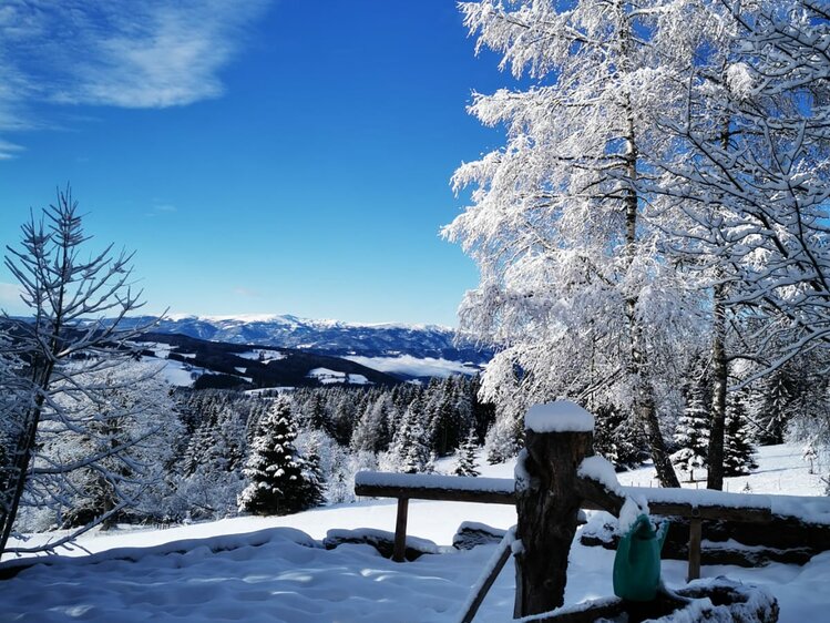 Snow-covered trees, a wooden bench, and a breathtaking mountain landscape under a clear blue sky. | © Urlaub am Bauernhof / Schell