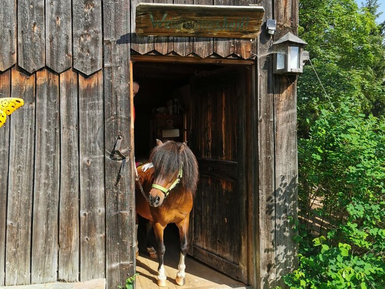 Rustic wooden barn entrance with horse standing inside, surrounded by lush greenery. | © Urlaub am Bauernhof / Schell