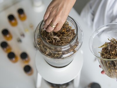Person's hand picking dried herbs from a glass jar on a table with other glass jars containing similar dried plants. | © SPEICK Naturkosmetik