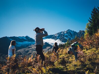 Auf der Pirsch mit dem Bauer auf der Alm | © Urlaub am Bauernhof Salzburg / Daniel Gollner Group of hikers exploring mountainous landscape with snow-capped peaks, vibrant foliage, and scenic backdrop. | © Urlaub am Bauernhof Salzburg / Daniel Gollner