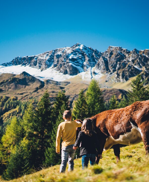 Kinder besuchen die Kühe auf der Weide | © Urlaub am Bauernhof Salzburg / Daniel Gollner Kinder auf der Kuhweide | © Urlaub am Bauernhof Salzburg / Daniel Gollner