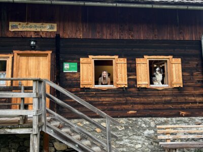 Weathered wooden wall with stacked wooden crates, a cat peering out, and a metal ladder on the side. | © Urlaub auf der Alm / Julia Winkler