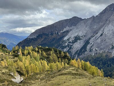 Wanderung | © Urlaub auf der Alm / Julia Winkler Rugged mountainous terrain with evergreen forests and yellow autumn foliage, overcast sky, dramatic landscape. | © Urlaub auf der Alm / Julia Winkler