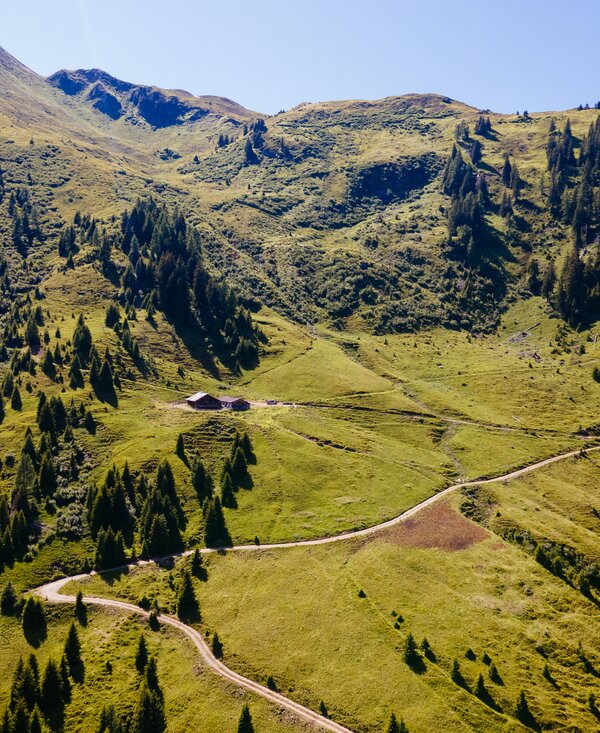 Lush green valley nestled between towering mountains covered in pine trees, with a winding path leading through the scenic landscape. | © Urlaub am Bauernhof / Daniel Gollner