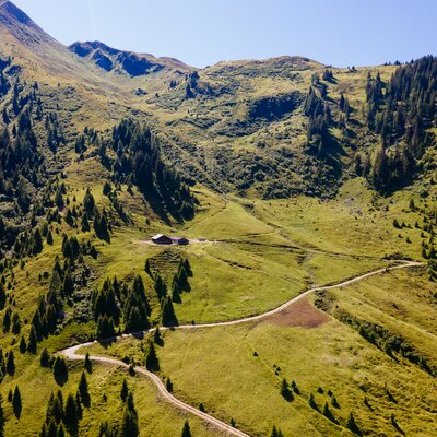 Lush green valley nestled between towering mountains covered in pine trees, with a winding path leading through the scenic landscape. | © Urlaub am Bauernhof / Daniel Gollner