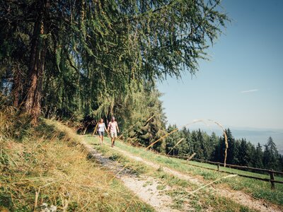 Two hikers strolling on a scenic mountain trail surrounded by lush, evergreen forests and clear blue skies. | © Urlaub am Bauernhof Steiermark / Daniel Gollner 
