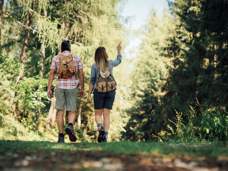 Two hikers walking through a lush, green forest, enjoying the natural scenery. | © Urlaub am Bauernhof Steiermark / Daniel Gollner 