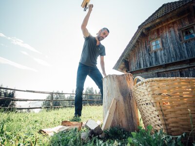 Person splitting wood next to a rustic wooden cabin surrounded by lush greenery on a sunny day. | © Urlaub am Bauernhof Steiermark / Daniel Gollner 