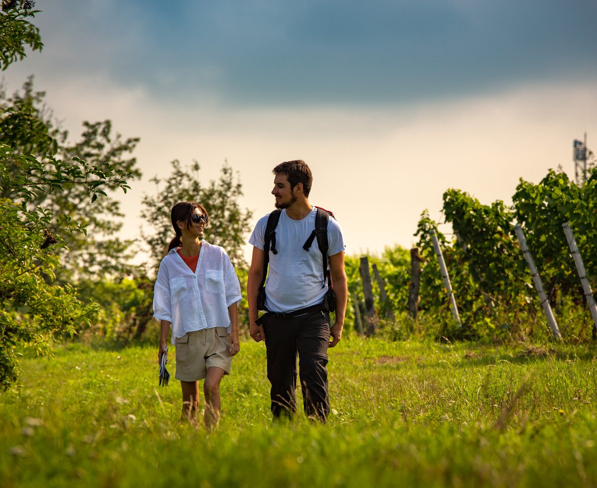 © Burgenland Tourismus GmbH / Andreas Hafenscher © Burgenland Tourismus GmbH / Andreas Hafenscher