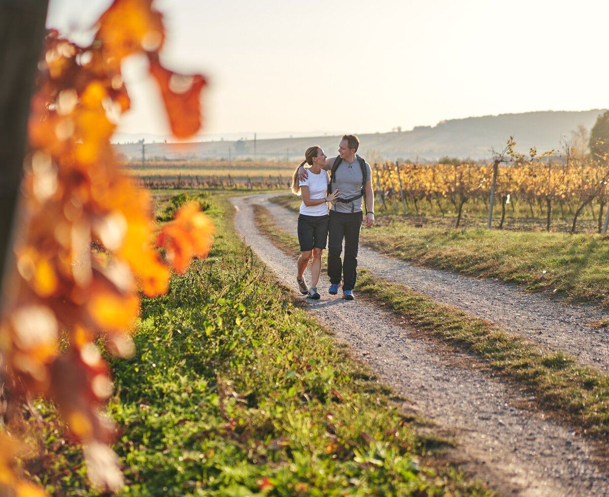 © Burgenland Tourismus GmbH / Thomas Schmid © Burgenland Tourismus GmbH / Thomas Schmid