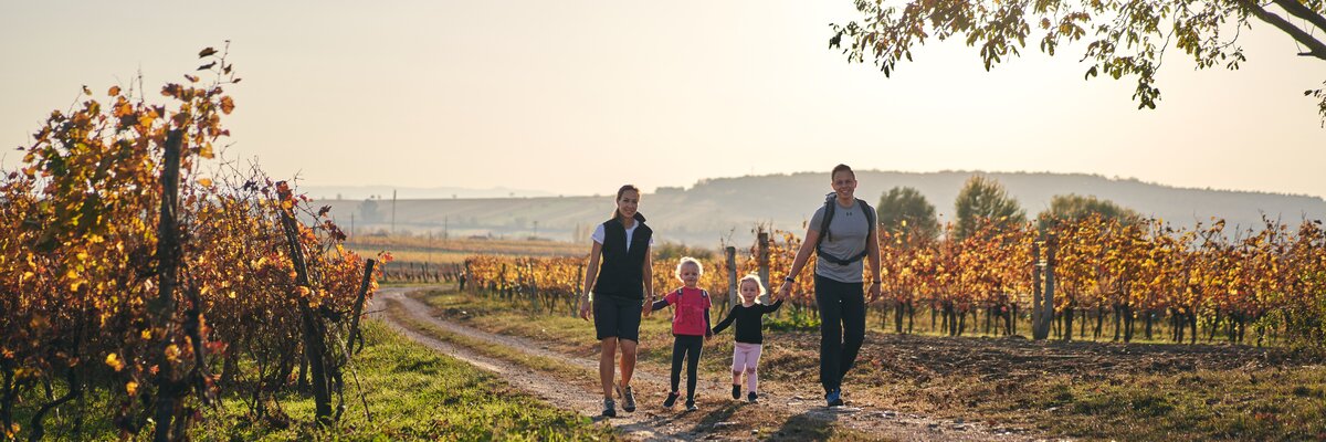 © Burgenland Tourismus GmbH / Thomas Schmid