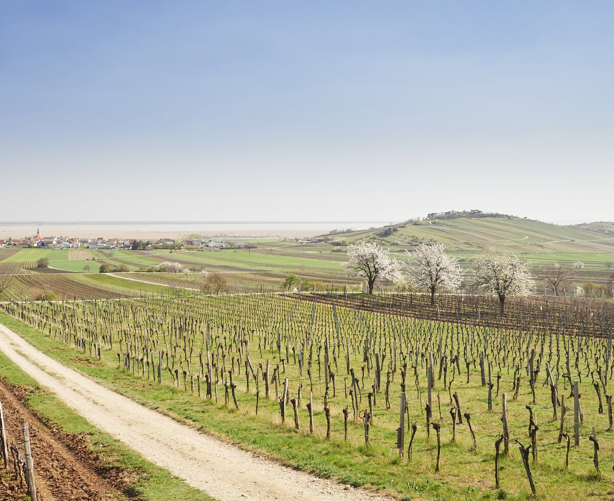 © Burgenland Tourismus GmbH / Peter Podpera © Burgenland Tourismus GmbH / Peter Podpera