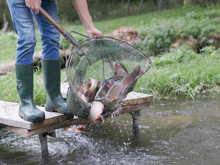 Fische im Netz beim Chalet 1888 | © Daniel Gollner 