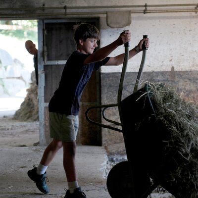 Boy pushing a wheelbarrow loaded with hay inside a barn.