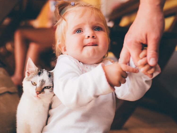 Katze lehnt sich an das Baby | © Urlaub am Bauernhof Kärnten / Daniel Gollner