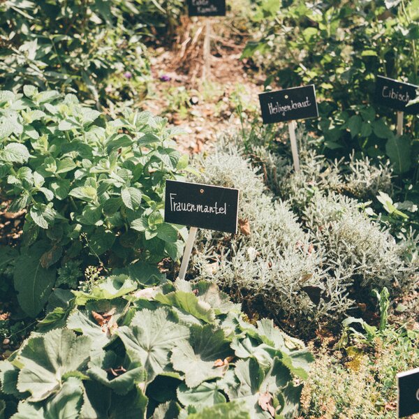 Verschiedene Kräuter im Garten | © Urlaub am Bauernhof Kärnten / Daniel Gollner