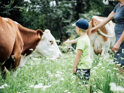 Frau und Kind bei der Kuh auf der Wiese | © Urlaub am Bauernhof Kärnten / Daniel Gollner