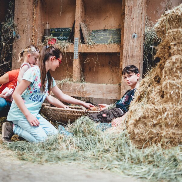 Kinder sitzen im Heu | © Urlaub am Bauernhof Kärnten/ Daniel Gollner