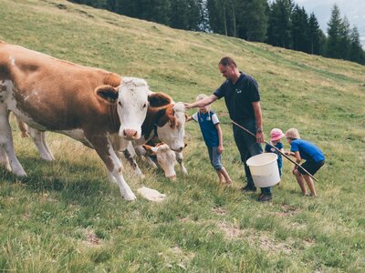 Bauer und Kinder bei den Kühen auf der Wiese | © Urlaub am Bauernhof Kärnten / Daniel Gollner