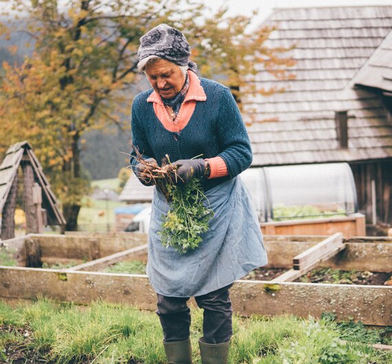 Frau im Garten mit Karotten | © Urlaub am Bauernhof Kärnten/Daniel Gollner