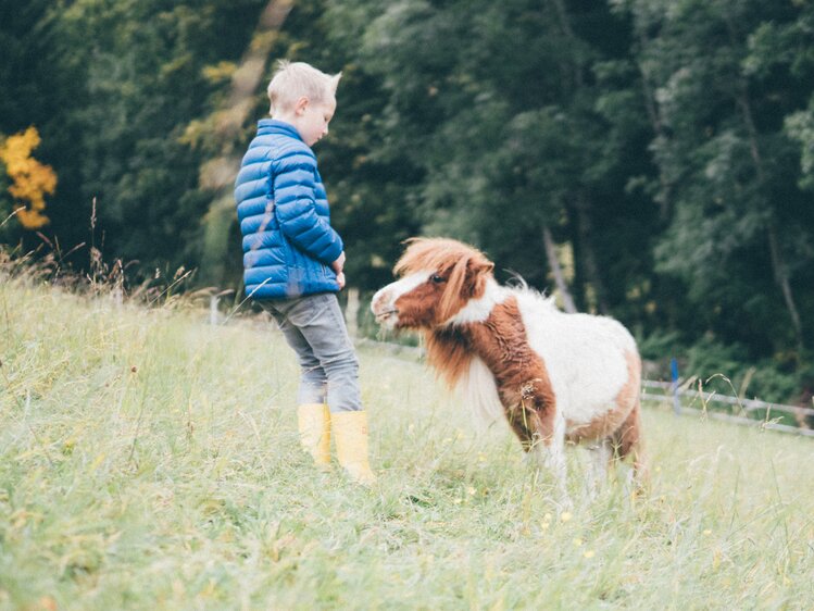 Kind bei Pony auf der Wiese | © Urlaub am Bauernhof Kärnten / Daniel Gollner