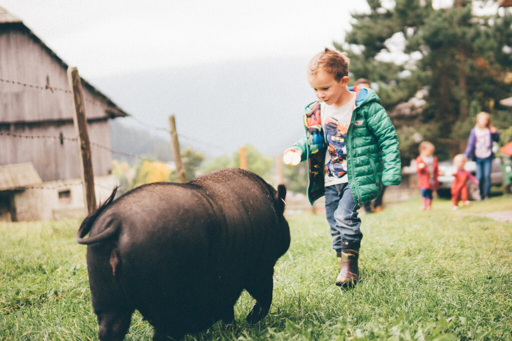 Activities on Farms in Carinthia| Farm Holidays in Austria