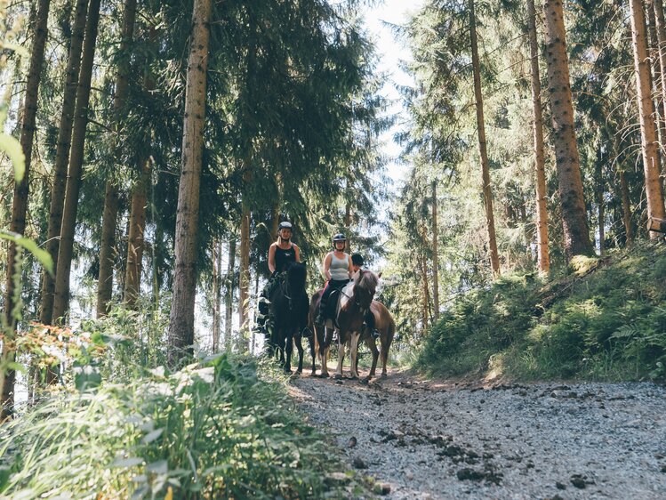 Ausritt im Wald | © Urlaub am Bauernhof Kärnten / Daniel Gollner