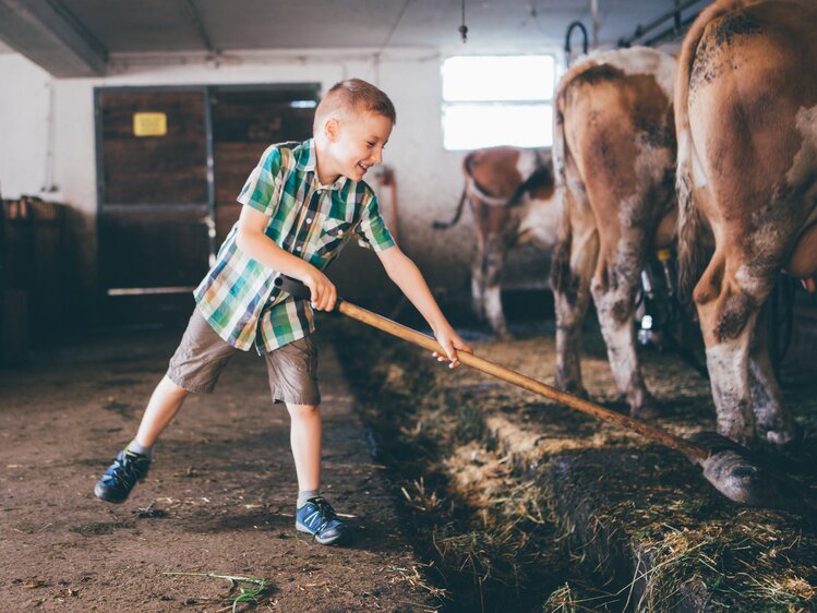 Bub entmistet im Stall | © Urlaub am Bauernhof Kärnten / Daniel Gollner