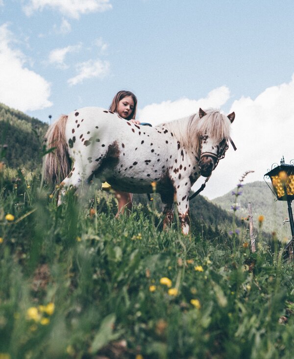 Kind und Pony auf der Wiese | © Urlaub am Bauernhof Kärnten / Daniel Gollner