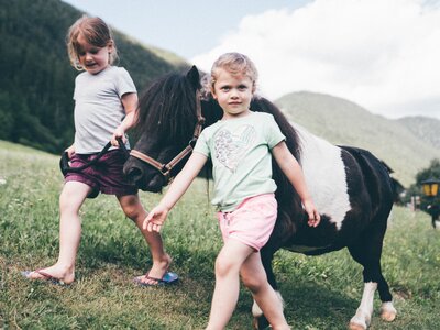Kinder führen das Pony auf der Wiese | © Urlaub am Bauernhof Kärnten/ Daniel Gollner