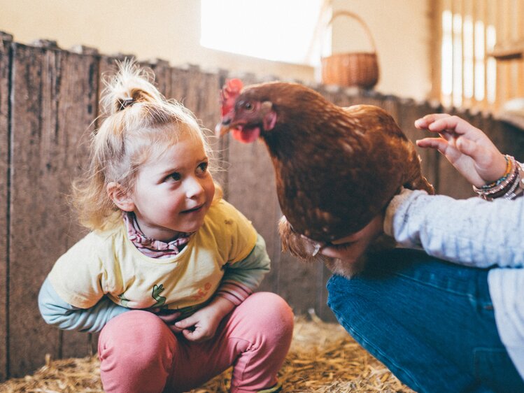 Mädchen hockt vor dem Huhn im Stall | © Urlaub am Bauernhof Kärnten / Daniel Gollner