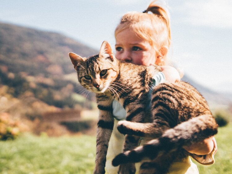 Mädchen mit der Katze im Arm | © Urlaub am Bauernhof Kärnten / Daniel Gollner