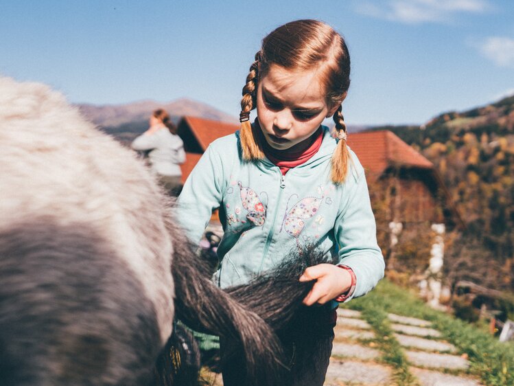 Mädchen putzt das Pony | © Urlaub am Bauernhof Kärnten / Daniel Gollner