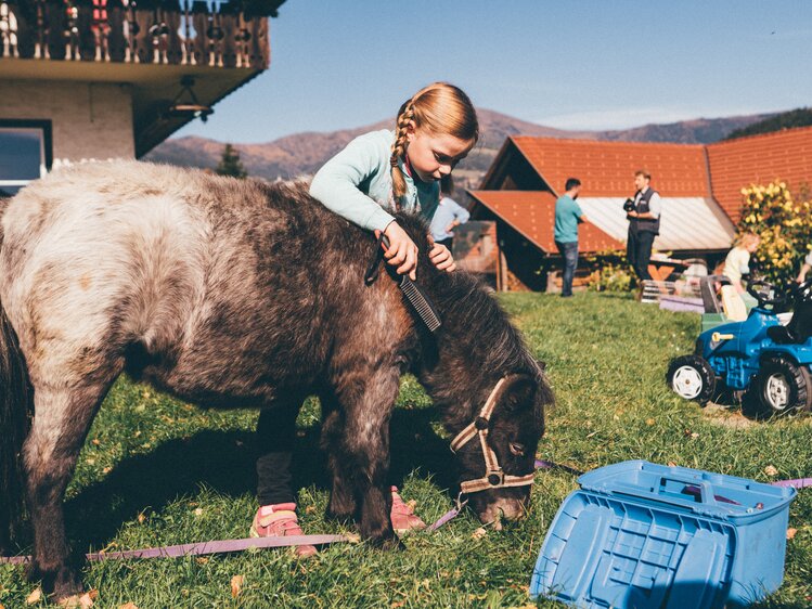 Mädchen putzt das Pony auf der Wiese | © Urlaub am Bauernhof Kärnten / Daniel Gollner