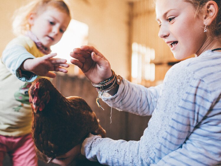 Mädchen streicheln das Huhn im Stall | © Urlaub am Bauernhof Kärnten / Daniel Gollner