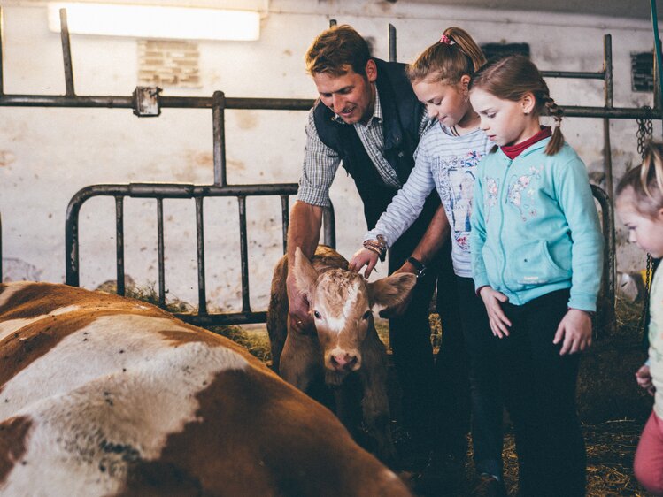 Mann und Kinder im Stall bei den Kühen | © Urlaub am Bauernhof Kärnten / Daniel Gollner