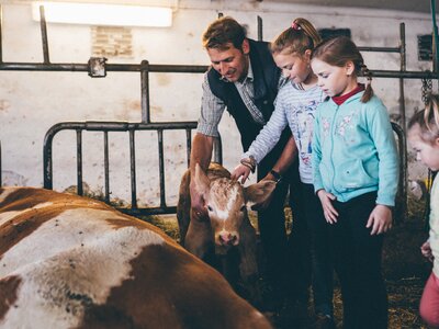 Mann und Kinder im Stall | © Urlaub am Bauernhof Kärnten / Daniel Gollner Mann und Kinder im Stall bei den Kühen | © Urlaub am Bauernhof Kärnten / Daniel Gollner