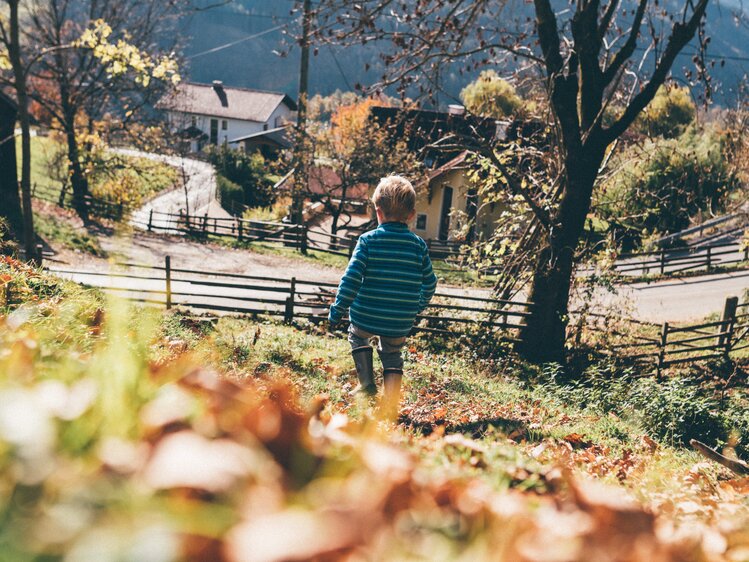 Bub geht auf der Wiese | © Urlaub am Bauernhof Kärnten / Daniel Gollner